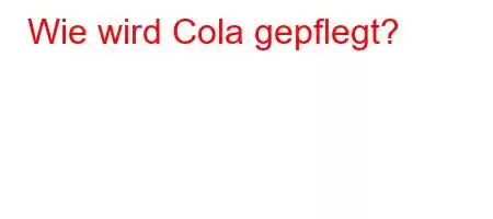 Wie wird Cola gepflegt?