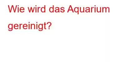 Wie wird das Aquarium gereinigt?