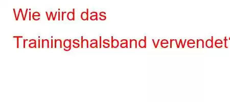 Wie wird das Trainingshalsband verwendet?