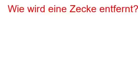 Wie wird eine Zecke entfernt?