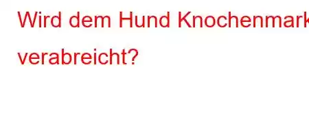 Wird dem Hund Knochenmark verabreicht?