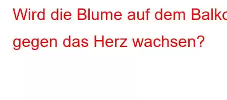 Wird die Blume auf dem Balkon gegen das Herz wachsen?