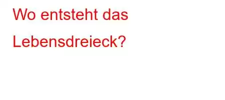 Wo entsteht das Lebensdreieck