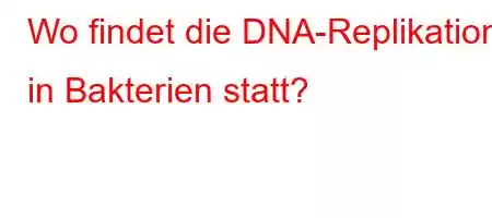 Wo findet die DNA-Replikation in Bakterien statt?