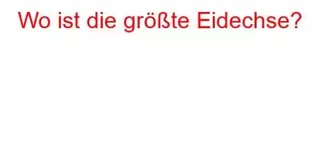 Wo ist die größte Eidechse?