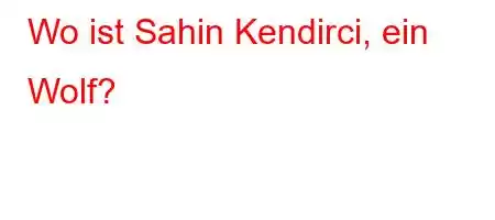 Wo ist Sahin Kendirci, ein Wolf?