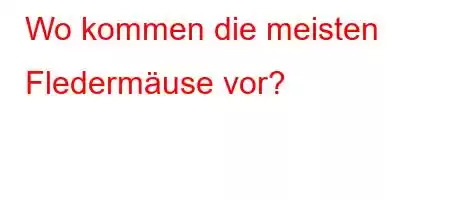 Wo kommen die meisten Fledermäuse vor