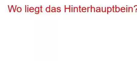 Wo liegt das Hinterhauptbein?