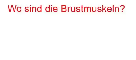 Wo sind die Brustmuskeln?