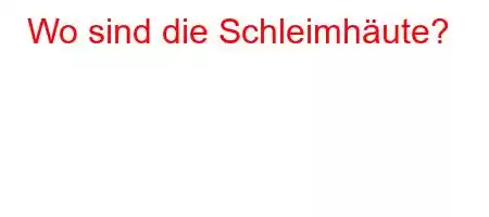 Wo sind die Schleimhäute?