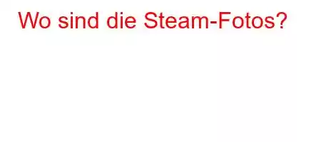 Wo sind die Steam-Fotos