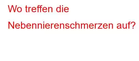 Wo treffen die Nebennierenschmerzen auf?