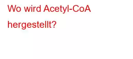 Wo wird Acetyl-CoA hergestellt?