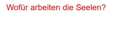 Wofür arbeiten die Seelen