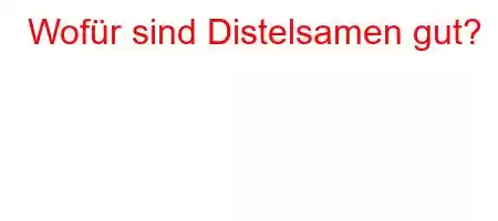 Wofür sind Distelsamen gut?