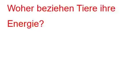 Woher beziehen Tiere ihre Energie?