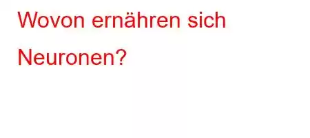 Wovon ernähren sich Neuronen