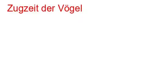 Zugzeit der Vögel